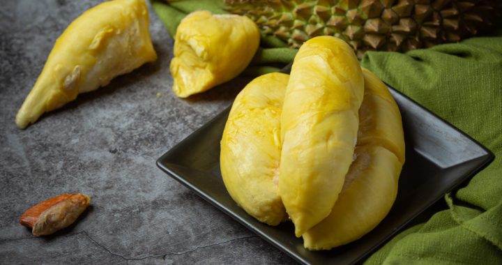 olahan durian