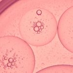 Khasiat Kolagen buat Melindungi Kesehatan Badan serta Kulit Senantiasa Optimal